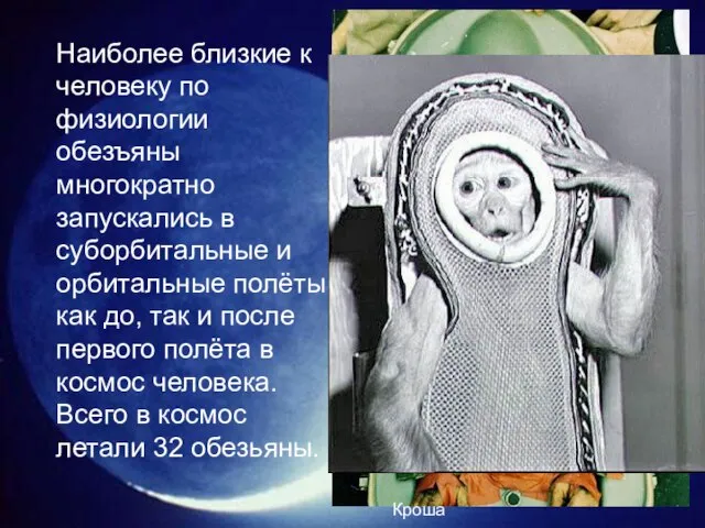 Наиболее близкие к человеку по физиологии обезъяны многократно запускались в суборбитальные и