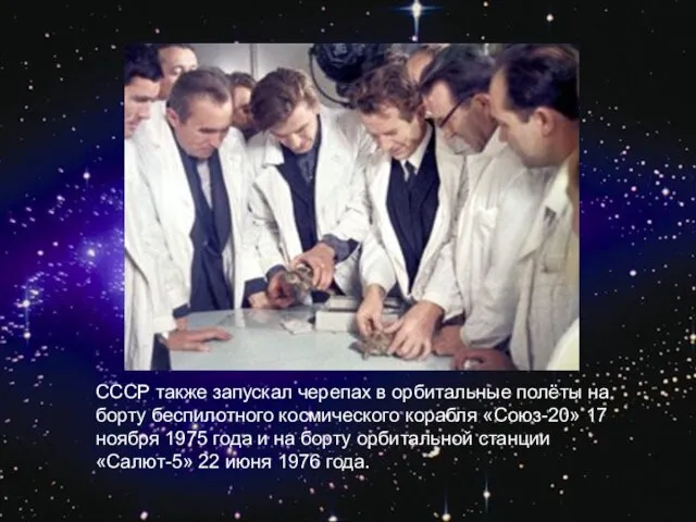 СССР также запускал черепах в орбитальные полёты на борту беспилотного космического корабля