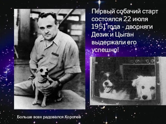 Первый собачий старт состоялся 22 июля 1951 года - дворняги Дезик и