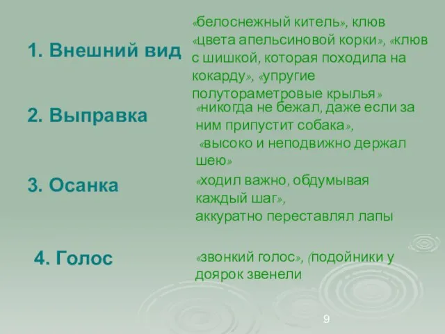 1. Внешний вид 2. Выправка 3. Осанка 4. Голос «белоснежный китель», клюв