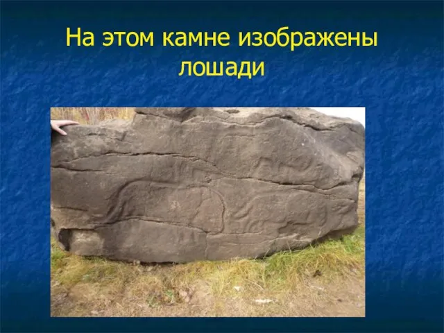 На этом камне изображены лошади