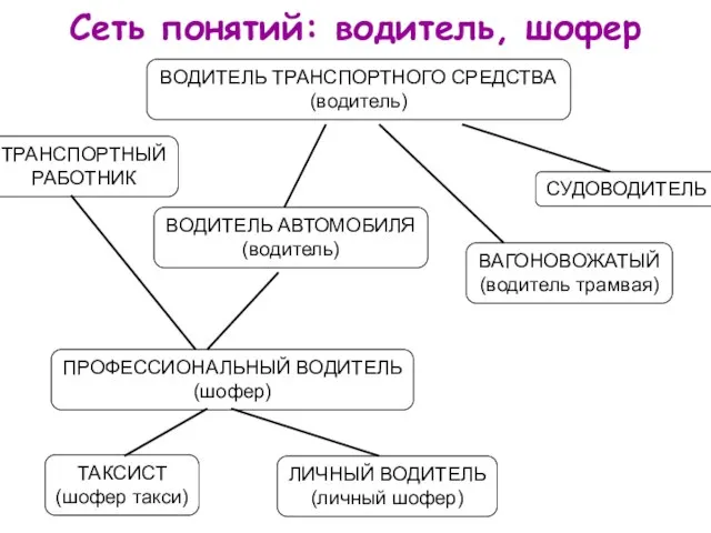 Сеть понятий: водитель, шофер ВОДИТЕЛЬ ТРАНСПОРТНОГО СРЕДСТВА (водитель) ТРАНСПОРТНЫЙ РАБОТНИК СУДОВОДИТЕЛЬ ВАГОНОВОЖАТЫЙ