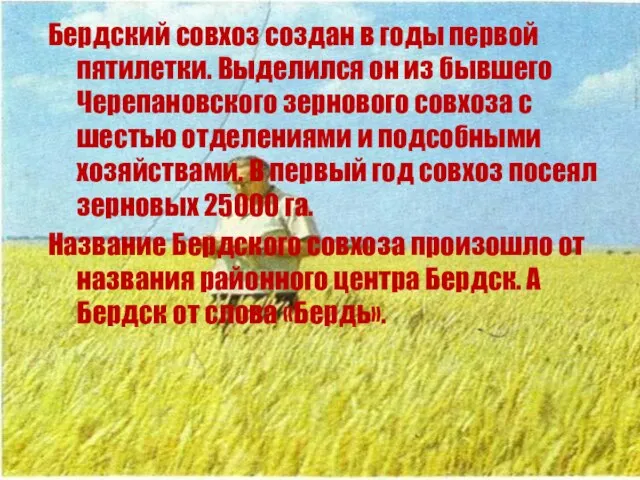 Бердский совхоз создан в годы первой пятилетки. Выделился он из бывшего Черепановского