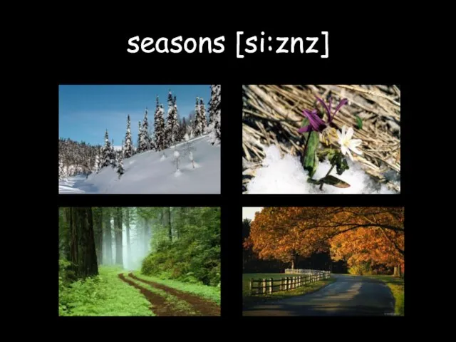 seasons [si:znz]