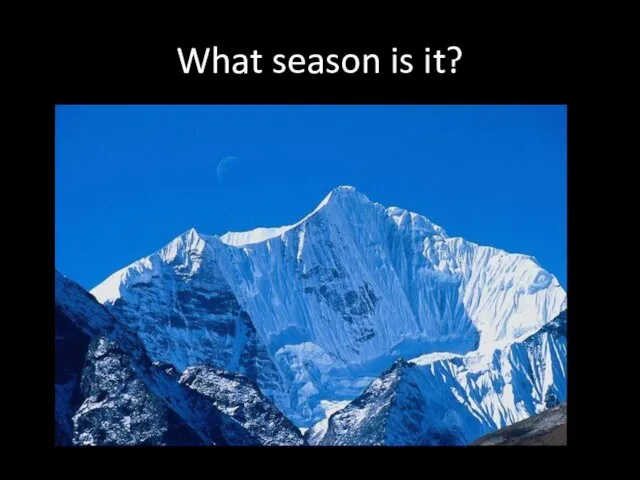 What season is it? .