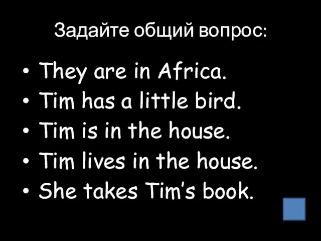 Задайте общий вопрос: They are in Africa. Tim has a little bird.