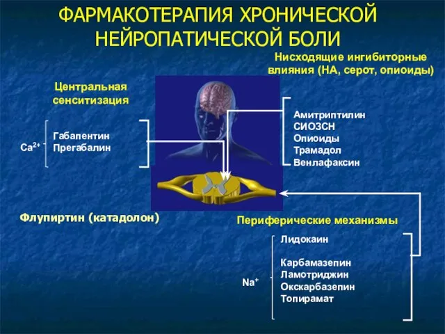 ФАРМАКОТЕРАПИЯ ХРОНИЧЕСКОЙ НЕЙРОПАТИЧЕСКОЙ БОЛИ Амитриптилин СИОЗСН Опиоиды Трамадол Венлафаксин Нисходящие ингибиторные влияния