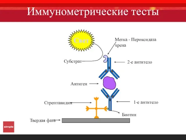 Иммунометрические тесты