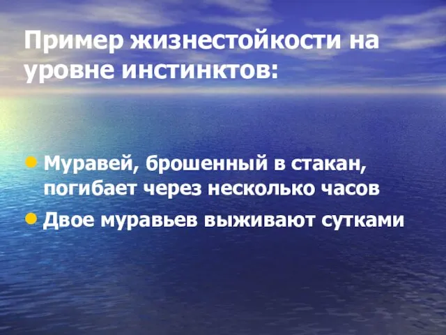 Пример жизнестойкости на уровне инстинктов: Муравей, брошенный в стакан, погибает через несколько