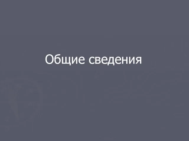 Общие сведения