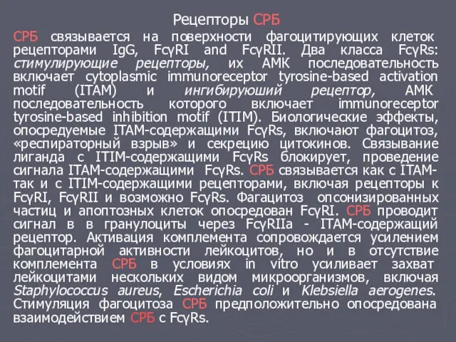 Рецепторы СРБ СРБ связывается на поверхности фагоцитирующих клеток рецепторами IgG, FcγRI and