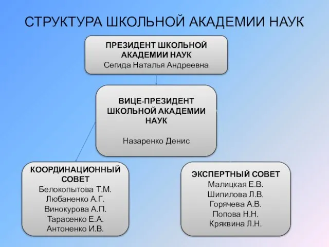 СТРУКТУРА ШКОЛЬНОЙ АКАДЕМИИ НАУК ПРЕЗИДЕНТ ШКОЛЬНОЙ АКАДЕМИИ НАУК Сегида Наталья Андреевна ВИЦЕ-ПРЕЗИДЕНТ