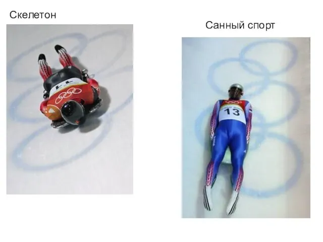 Скелетон Санный спорт