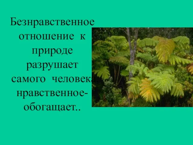 Безнравственное отношение к природе разрушает самого человека, нравственное- обогащает..