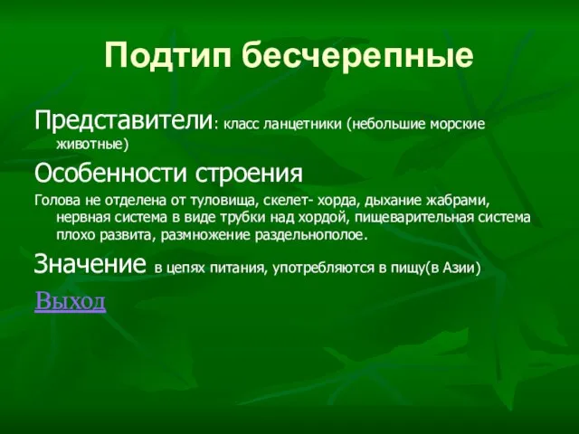 Подтип бесчерепные Представители: класс ланцетники (небольшие морские животные) Особенности строения Голова не