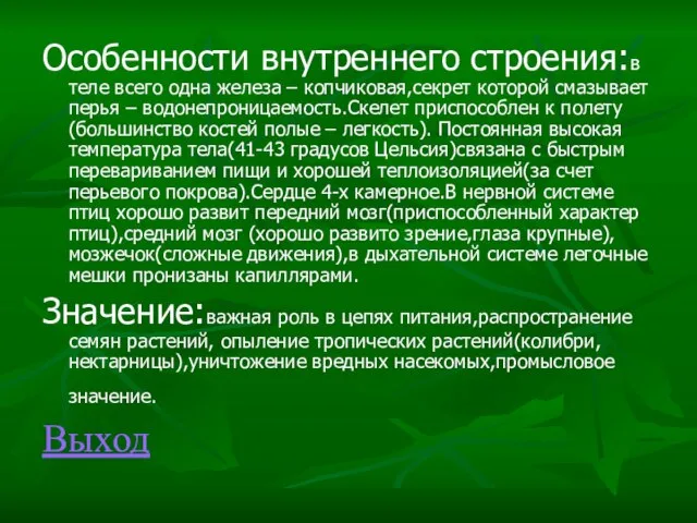 Особенности внутреннего строения:в теле всего одна железа – копчиковая,секрет которой смазывает перья