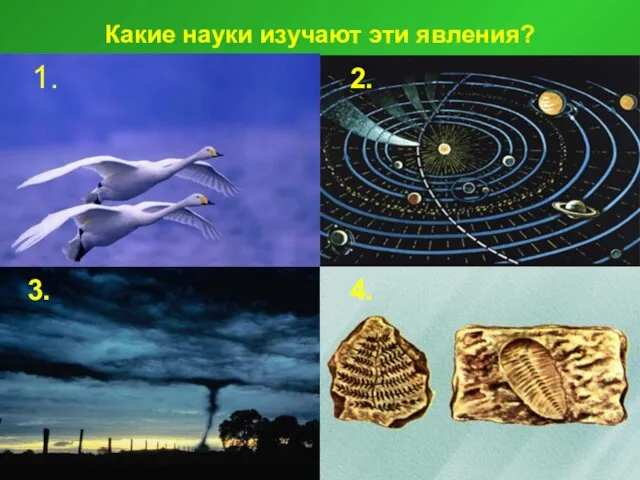 Какие науки изучают эти явления? 1. 2. 3. 4.