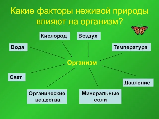 Какие факторы неживой природы влияют на организм? Организм Вода Кислород Воздух Температура