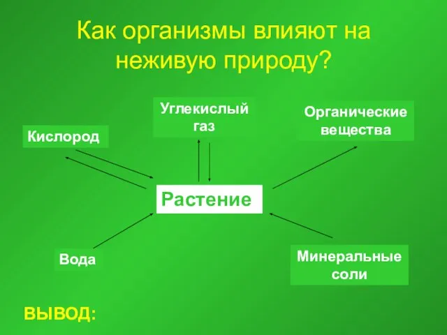 Как организмы влияют на неживую природу? Растение Кислород Углекислый газ Органические вещества Вода Минеральные соли ВЫВОД: