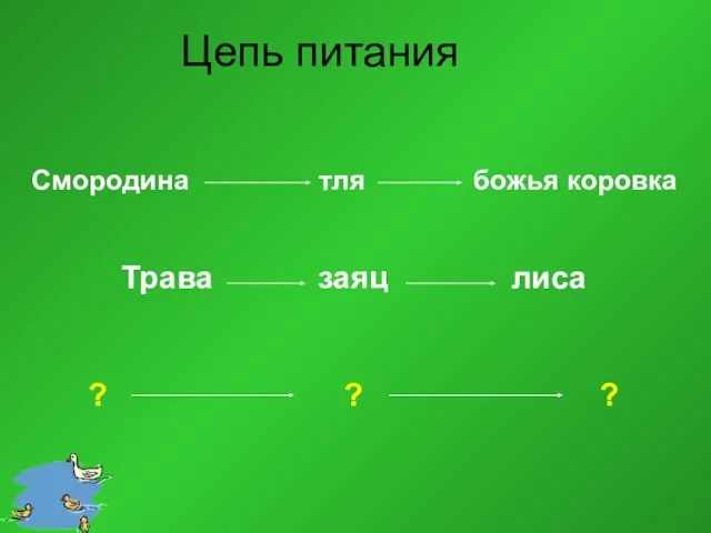 Цепь питания Смородина тля божья коровка Трава заяц лиса ? ? ?