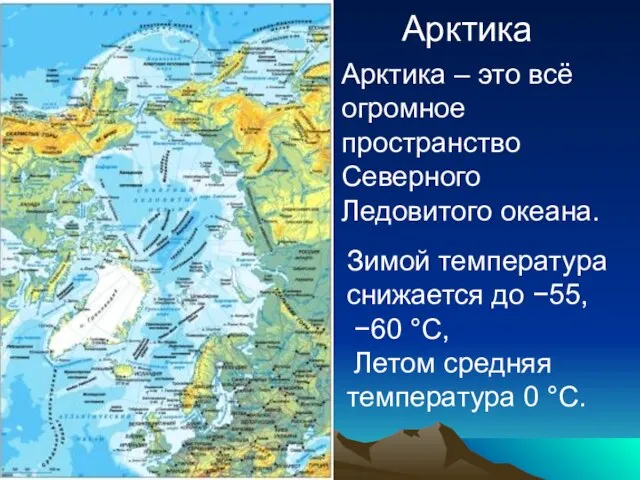 Арктика Арктика – это всё огромное пространство Северного Ледовитого океана. Зимой температура