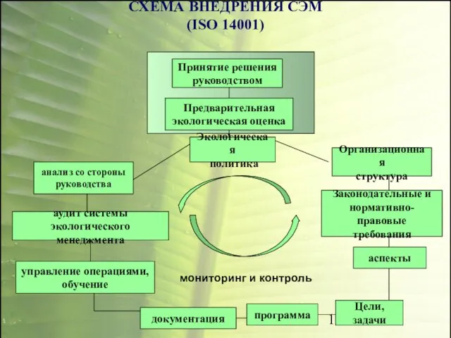 СХЕМА ВНЕДРЕНИЯ СЭМ (ISO 14001) Принятие решения руководством Предварительная экологическая оценка анализ