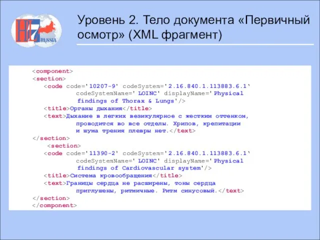 Органы дыхания Дыхание в легких везикулярное с жестким оттенком, проводится во все