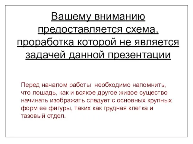 Перед началом работы необходимо напомнить, что лошадь, как и всякое другое живое