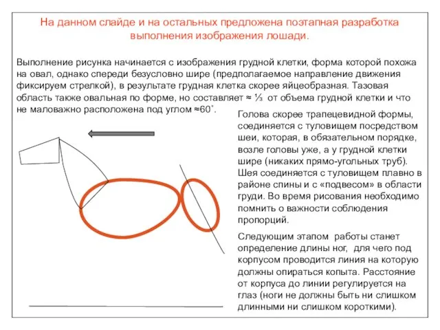 На данном слайде и на остальных предложена поэтапная разработка выполнения изображения лошади.