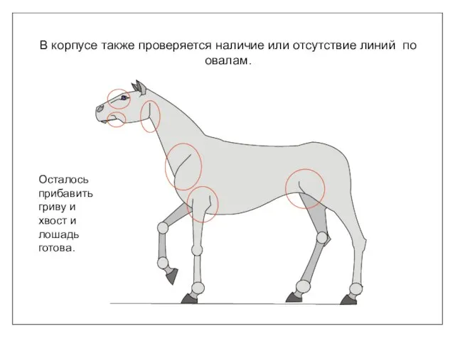 В корпусе также проверяется наличие или отсутствие линий по овалам. Осталось прибавить