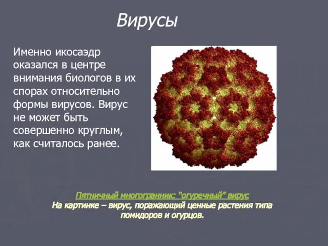 Пятничный многогранник: “огуречный” вирус На картинке – вирус, поражающий ценные растения типа