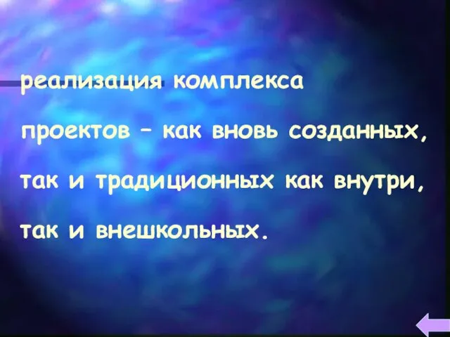 реализация комплекса проектов – как вновь созданных, так и традиционных как внутри, так и внешкольных.