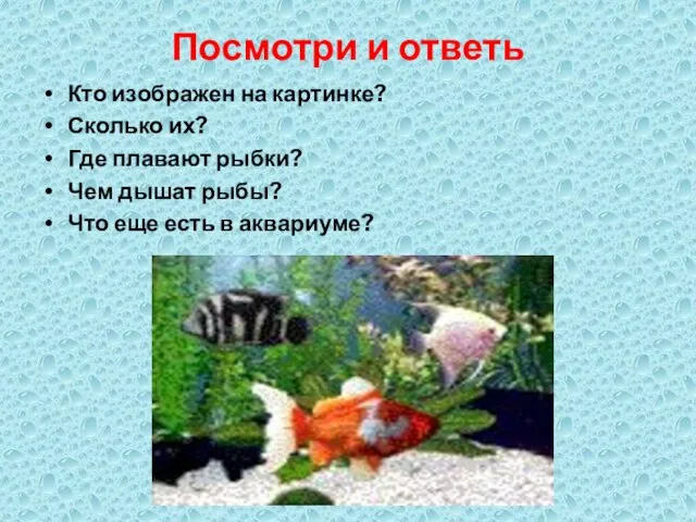 Посмотри и ответь Кто изображен на картинке? Сколько их? Где плавают рыбки?