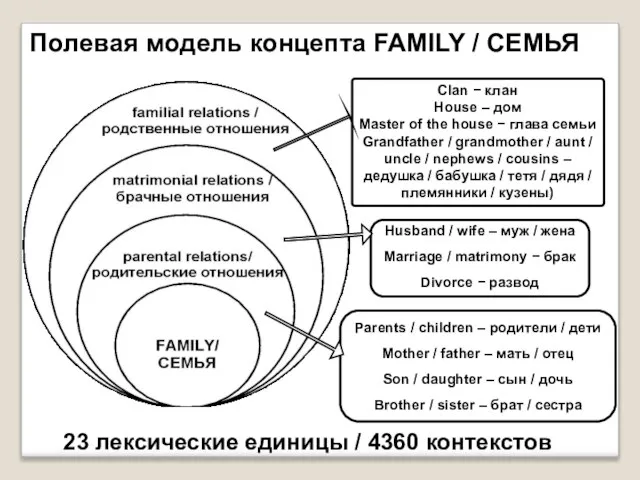 Полевая модель концепта FAMILY / СЕМЬЯ 23 лексические единицы / 4360 контекстов