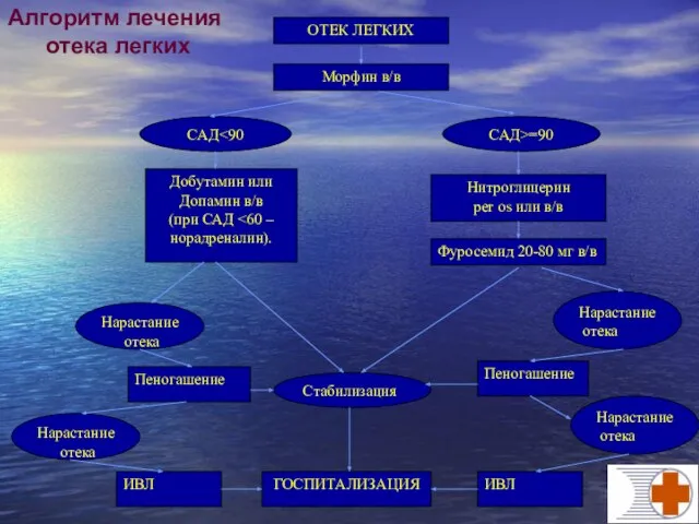 ОТЕК ЛЕГКИХ Нитроглицерин per os или в/в Фуросемид 20-80 мг в/в Морфин