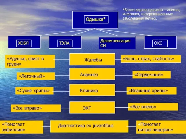 Декомпенсация СН Жалобы Анамнез Клиника ЭКГ Диагностика ex juvantibus «Легочный» «Сердечный» «Сухие