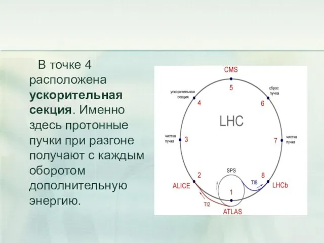 В точке 4 расположена ускорительная секция. Именно здесь протонные пучки при разгоне