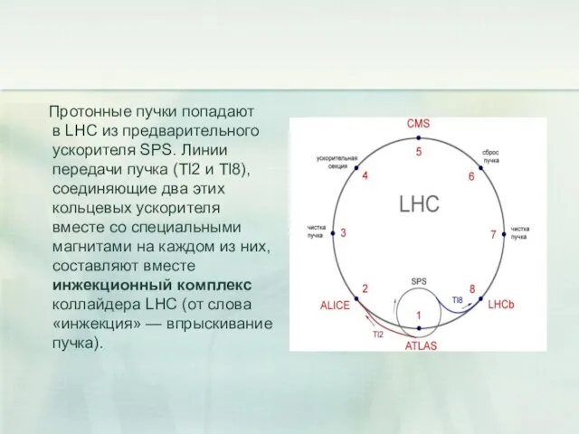 Протонные пучки попадают в LHC из предварительного ускорителя SPS. Линии передачи пучка