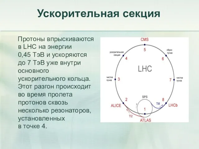Ускорительная секция Протоны впрыскиваются в LHC на энергии 0,45 ТэВ и ускоряются