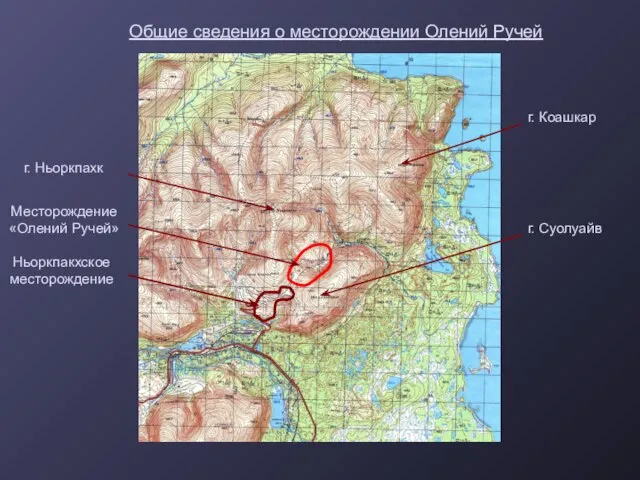 Общие сведения о месторождении Олений Ручей Месторождение «Олений Ручей» г. Суолуайв г.