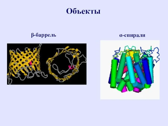 Объекты β-баррель α-спирали