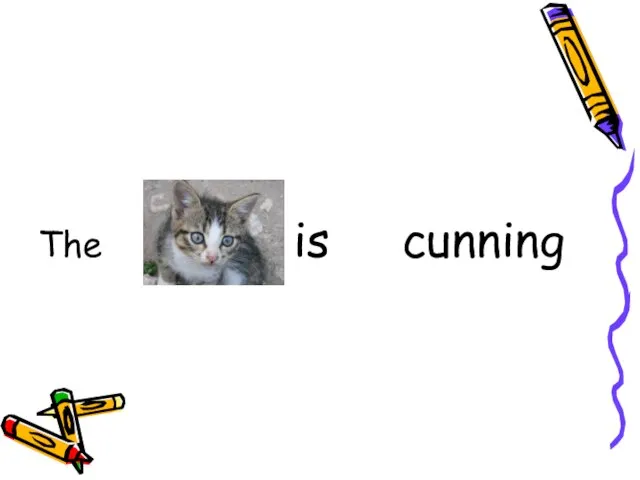 The is cunning