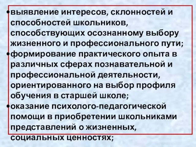 выявление интересов, склонностей и способностей школьников, способствующих осознанному выбору жизненного и профессионального