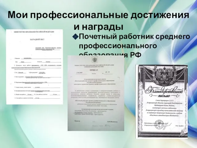 Почетный работник среднего профессионального образования РФ Мои профессиональные достижения и награды