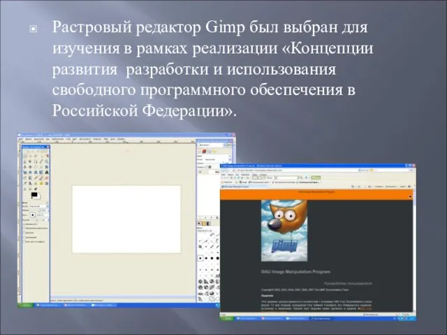 Растровый редактор Gimp был выбран для изучения в рамках реализации «Концепции развития