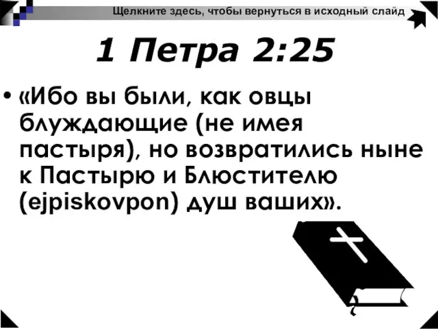 «Ибо вы были, как овцы блуждающие (не имея пастыря), но возвратились ныне