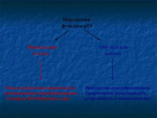 Нарушения функции р53 Нормальная клетка Опухолевая клетка Резкое увеличение вероятности возникновения новообразования