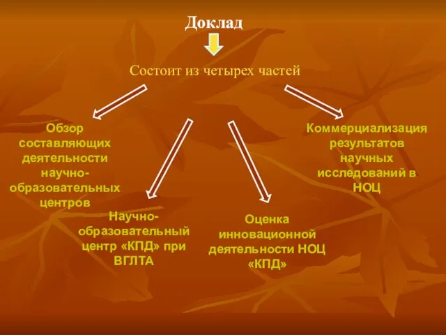 Состоит из четырех частей Обзор составляющих деятельности научно-образовательных центров Оценка инновационной деятельности