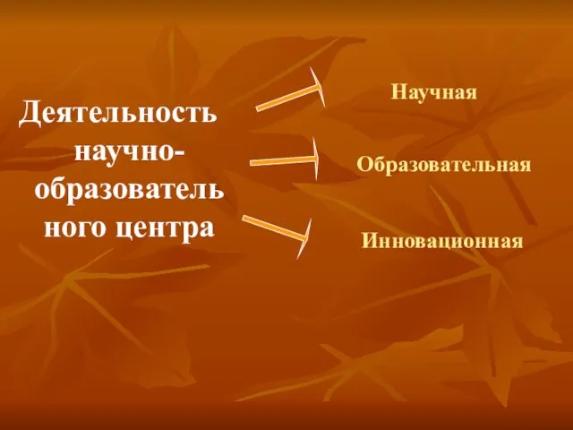 Деятельность научно-образовательного центра Научная Образовательная Инновационная