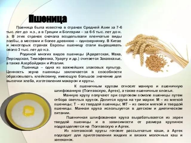 Пшеница Пшеница была известна в странах Средней Азии за 7-6 тыс. лет